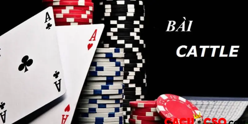 Cách Đánh Bài Cát Tê của Nhà Cái TIP88 Đạt Hiệu Quả Nhất 1 Thông tin cơ bản về cách đánh bài Cát Tê tại Tip88