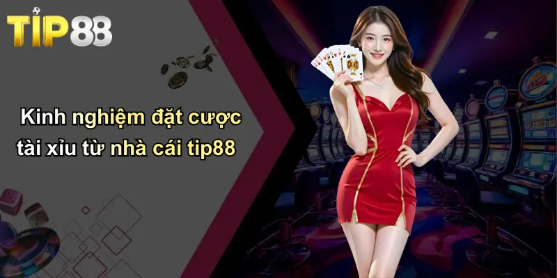 Kèo Tài Xỉu: Toàn Cảnh, Kinh Nghiệm Và Bí Quyết Thắng Cược Cùng Tip88 2 Kinh nghiệm đặt cược tài xỉu từ nhà cái tip88